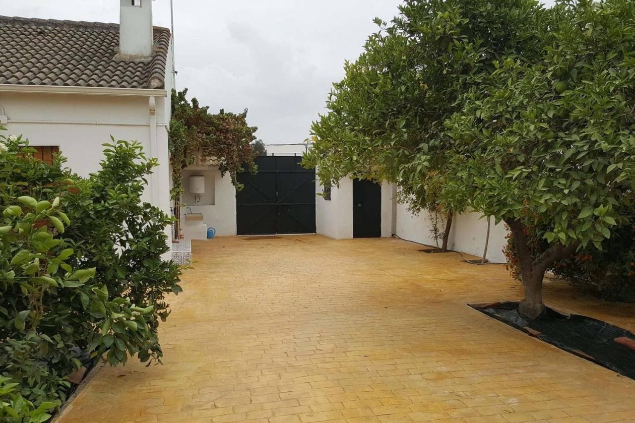 Gran Casa Rural Con Patio En Encinarejo De Cordoba Exteriér fotografie